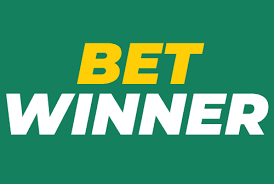 Discovering the Thrills of BetWinner Casino Discovering the Thrills of BetWinner Casino