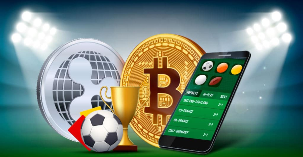 Exploring the Exciting World of dssh bet 14 Exploring the Exciting World of dssh bet 14
